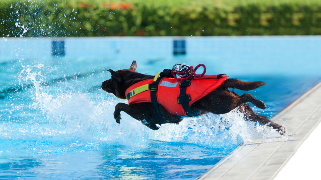 Pool Safety