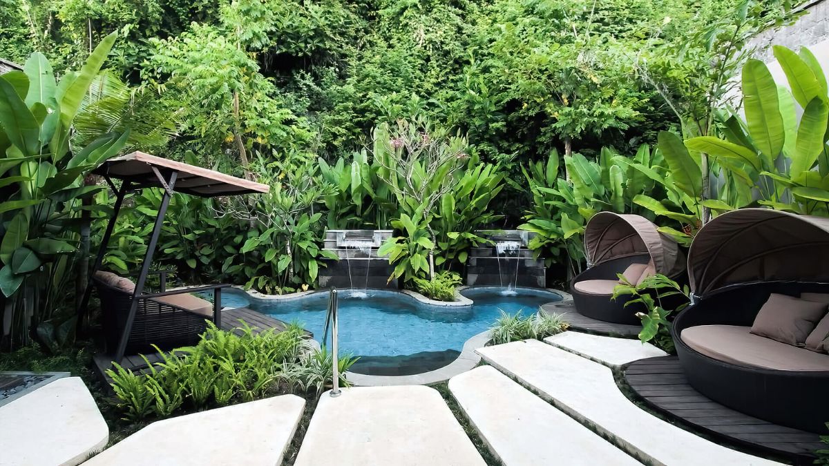 Large Trees Near Pool
