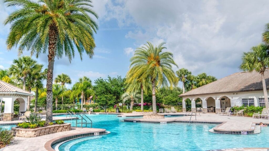 Straight vs. Curvy Pools