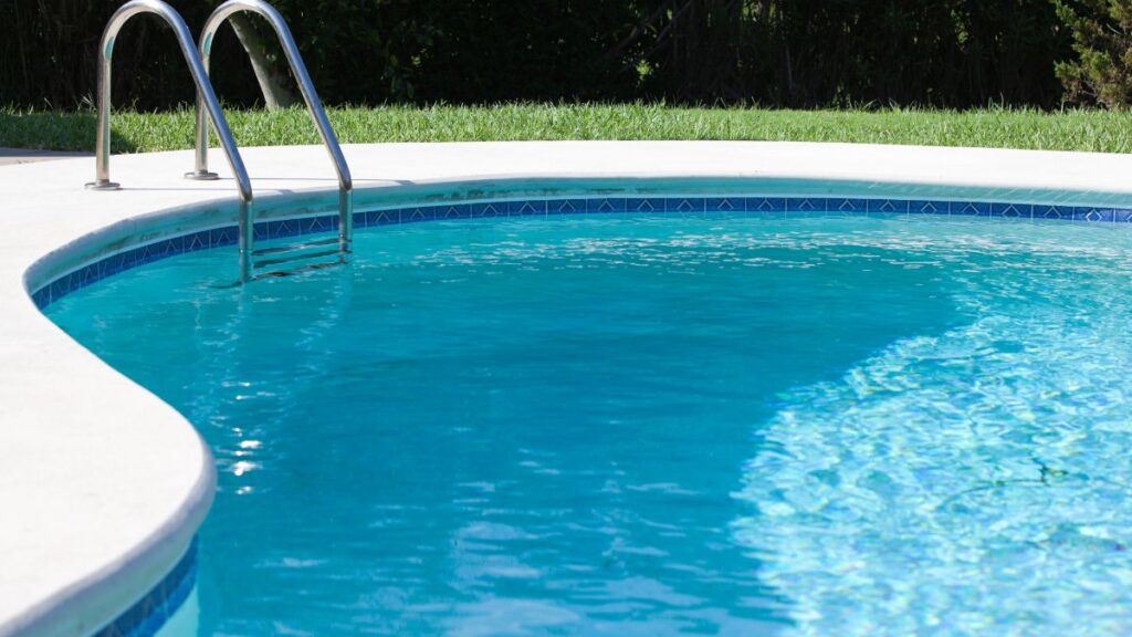 Straight vs. Curvy Pools